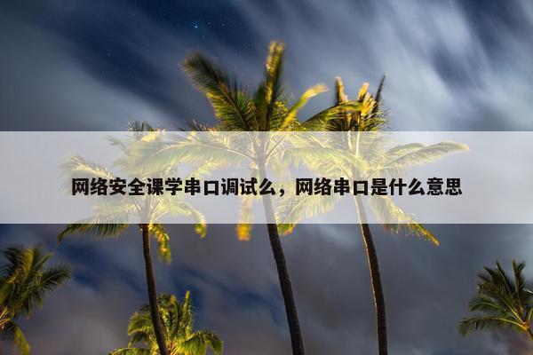 网络安全课学串口调试么，网络串口是什么意思