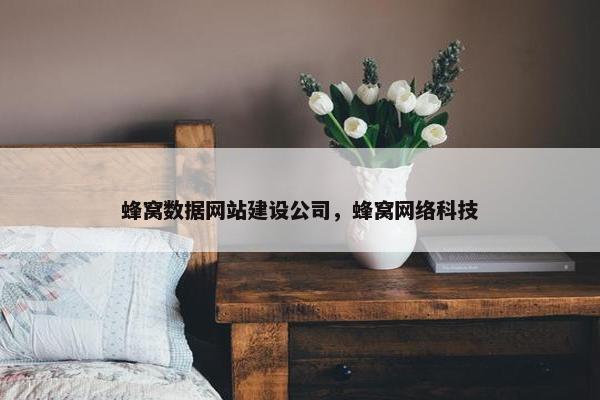 蜂窝数据网站建设公司，蜂窝网络科技
