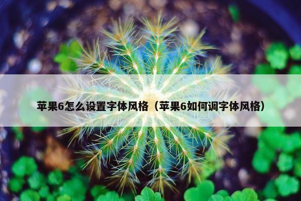 苹果6怎么设置字体风格（苹果6如何调字体风格）