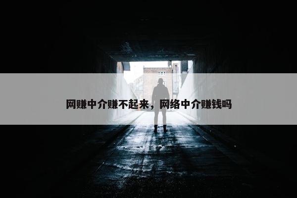 网赚中介赚不起来，网络中介赚钱吗