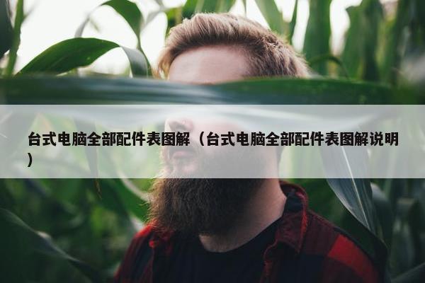 台式电脑全部配件表图解（台式电脑全部配件表图解说明）