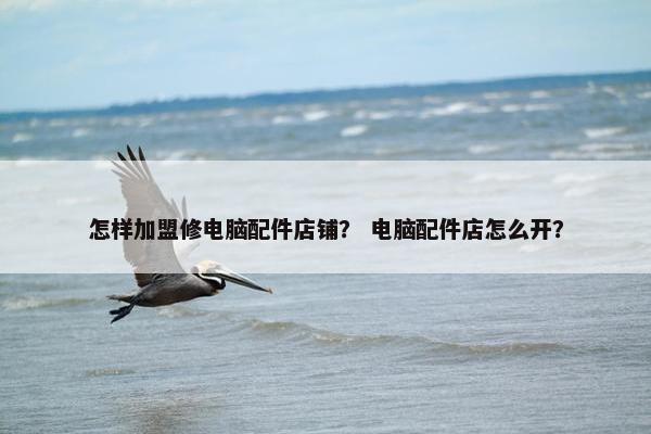 怎样加盟修电脑配件店铺？ 电脑配件店怎么开？
