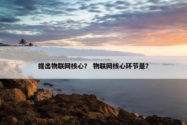 提出物联网核心？ 物联网核心环节是？