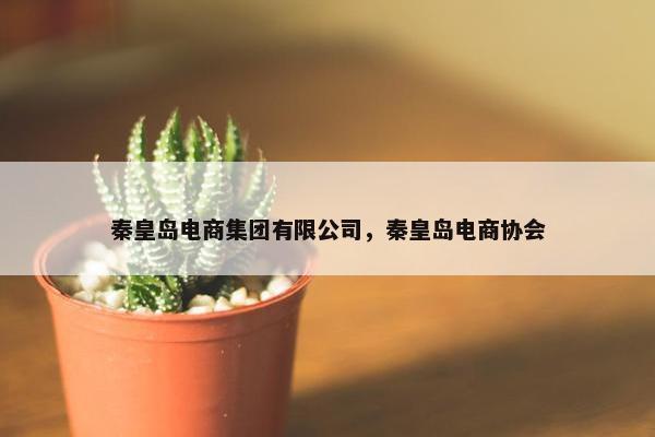 秦皇岛电商集团有限公司，秦皇岛电商协会