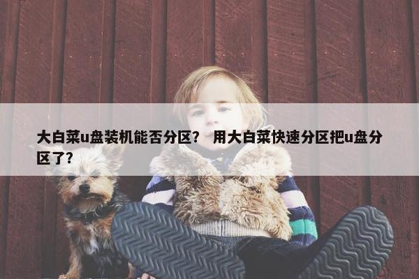 大白菜u盘装机能否分区？ 用大白菜快速分区把u盘分区了？