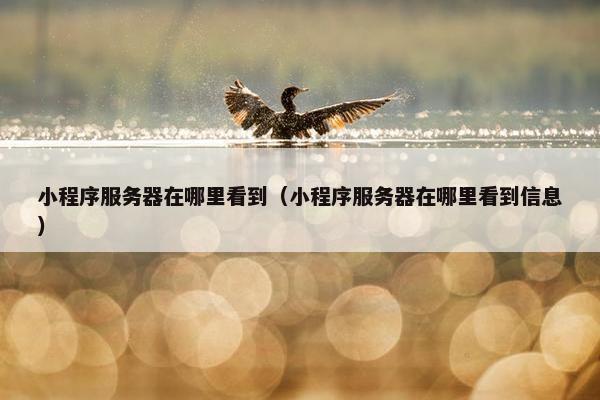 小程序服务器在哪里看到（小程序服务器在哪里看到信息）