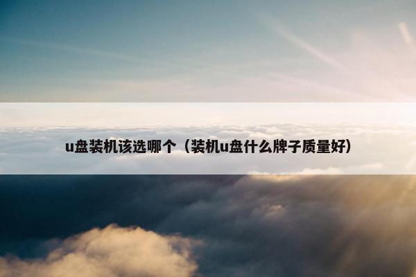 u盘装机该选哪个(装机u盘什么牌子质量好) u盘装机该选哪个(装机u盘什么牌子质量好)