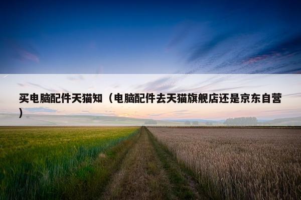 买电脑配件天猫知（电脑配件去天猫旗舰店还是京东自营）