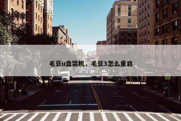 毛豆u盘装机，毛豆3怎么重启