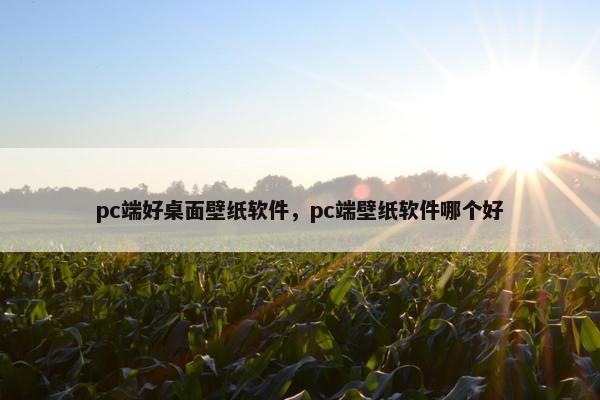 pc端好桌面壁纸软件，pc端壁纸软件哪个好