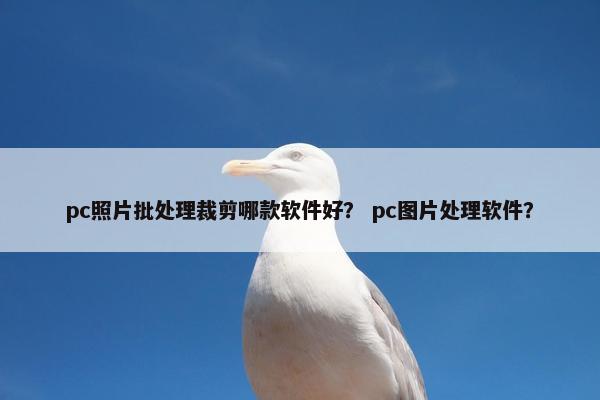 pc照片批处理裁剪哪款软件好？ pc图片处理软件？
