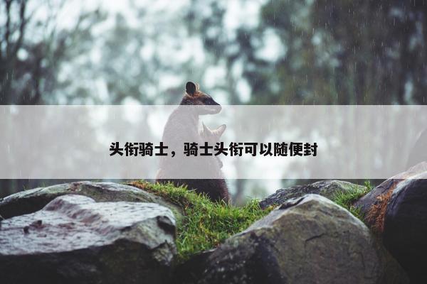 头衔骑士，骑士头衔可以随便封