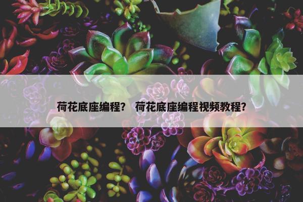 荷花底座编程？ 荷花底座编程视频教程？