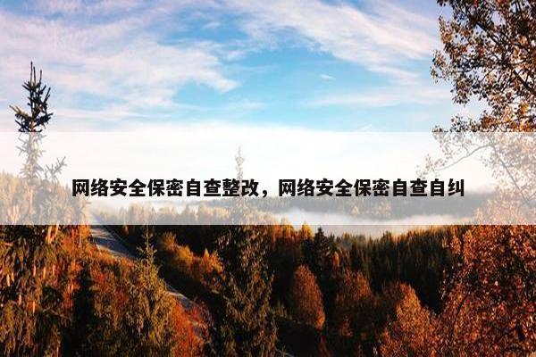 网络安全保密自查整改，网络安全保密自查自纠