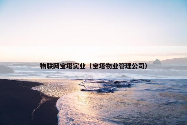 物联网宝塔实业（宝塔物业管理公司）