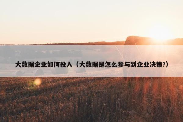 大数据企业如何投入（大数据是怎么参与到企业决策?）