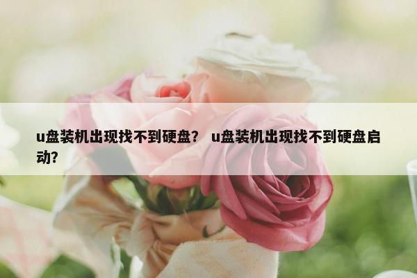 u盘装机出现找不到硬盘？ u盘装机出现找不到硬盘启动？