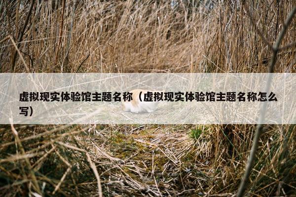 虚拟现实体验馆主题名称（虚拟现实体验馆主题名称怎么写）