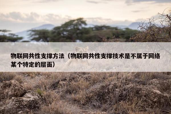 物联网共性支撑方法（物联网共性支撑技术是不属于网络某个特定的层面）