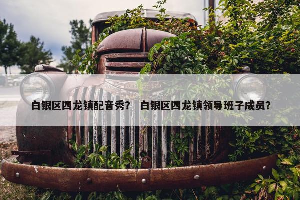 白银区四龙镇配音秀？ 白银区四龙镇领导班子成员？
