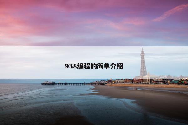 938编程的简单介绍