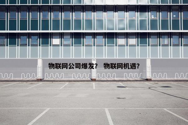物联网公司爆发？ 物联网机遇？