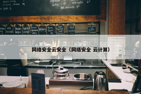 网络安全云安全（网络安全 云计算）