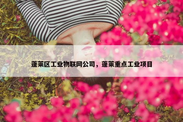 蓬莱区工业物联网公司，蓬莱重点工业项目