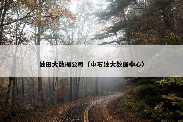 油田大数据公司（中石油大数据中心）