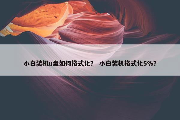 小白装机u盘如何格式化？ 小白装机格式化5%？