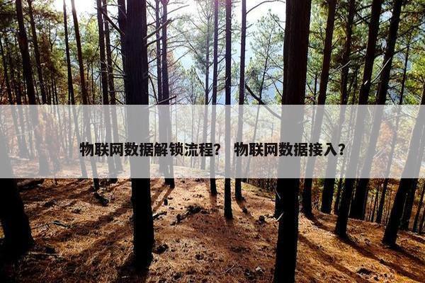 物联网数据解锁流程？ 物联网数据接入？