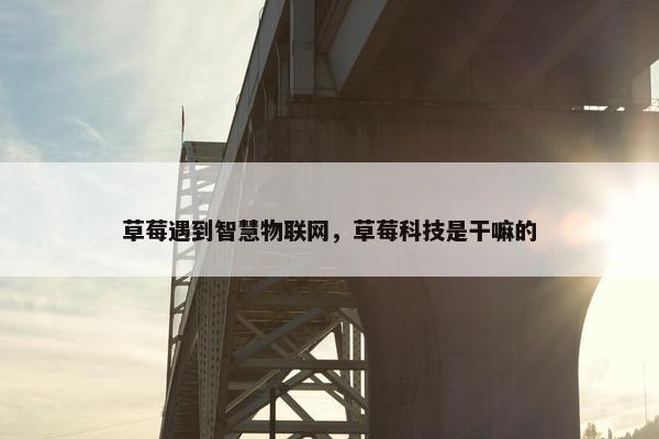 草莓遇到智慧物联网，草莓科技是干嘛的