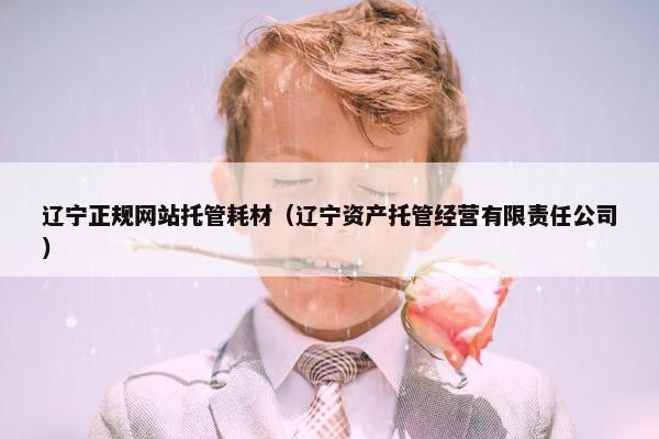 辽宁正规网站托管耗材（辽宁资产托管经营有限责任公司）
