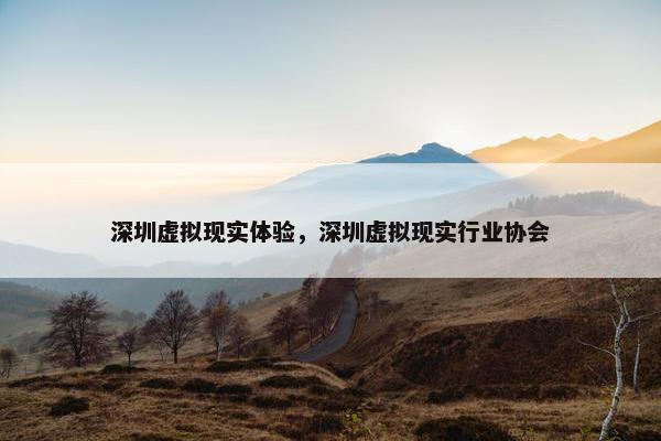 深圳虚拟现实体验，深圳虚拟现实行业协会