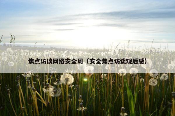 焦点访谈网络安全周（安全焦点访谈观后感）