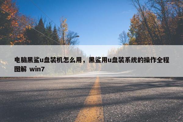电脑黑鲨u盘装机怎么用，黑鲨用u盘装系统的操作全程图解 win7