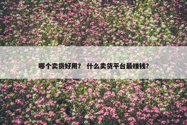 哪个卖货好用？ 什么卖货平台最赚钱？
