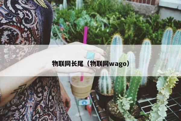 物联网长尾（物联网wago）