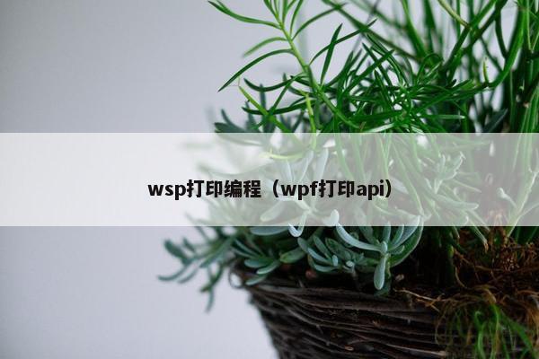 wsp打印编程(wpf打印api) wsp打印编程(wpf打印api)