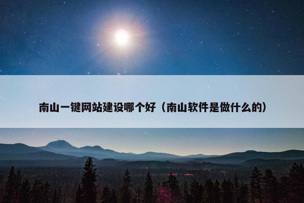 南山一键网站建设哪个好（南山软件是做什么的）