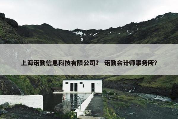上海诺勤信息科技有限公司？ 诺勤会计师事务所？