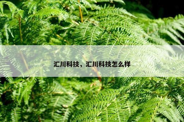 汇川科技，汇川科技怎么样
