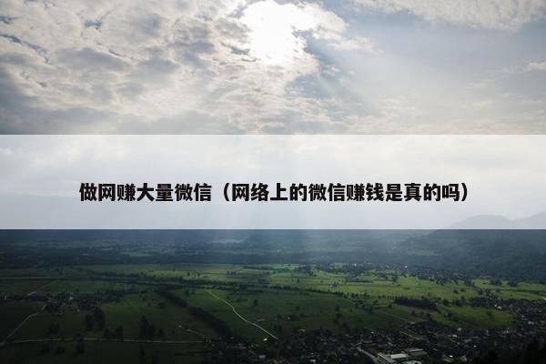 做网赚大量微信（网络上的微信赚钱是真的吗）