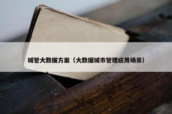城管大数据方案（大数据城市管理应用场景）