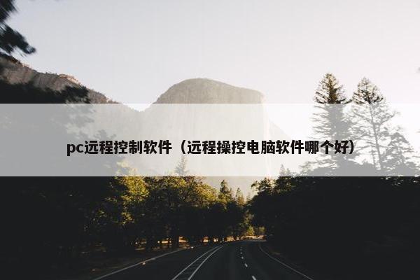 pc远程控制软件（远程操控电脑软件哪个好）