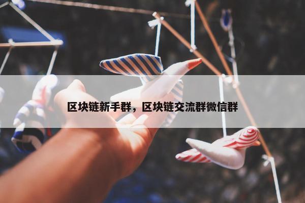区块链新手群，区块链交流群微信群