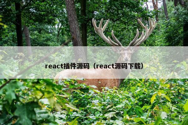 react插件源码（react源码下载）