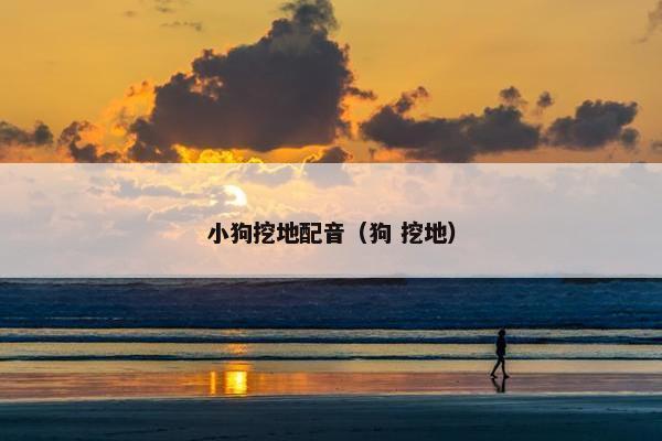 小狗挖地配音（狗 挖地）