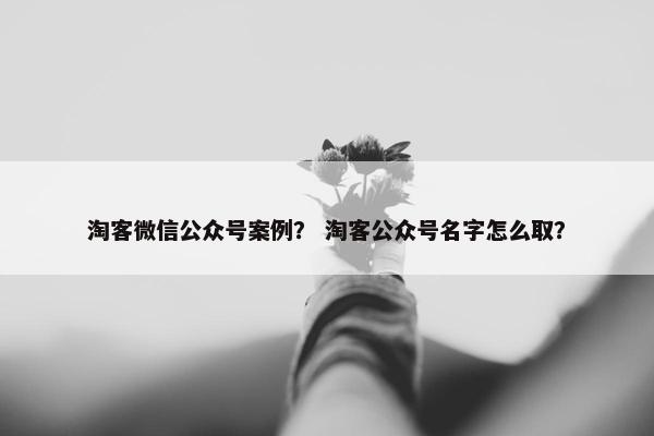 淘客微信公众号案例？ 淘客公众号名字怎么取？