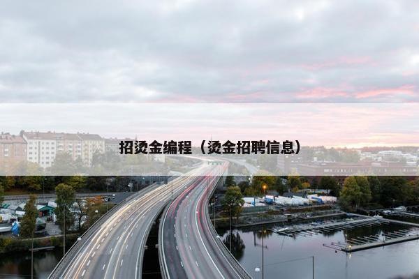 招烫金编程（烫金招聘信息）